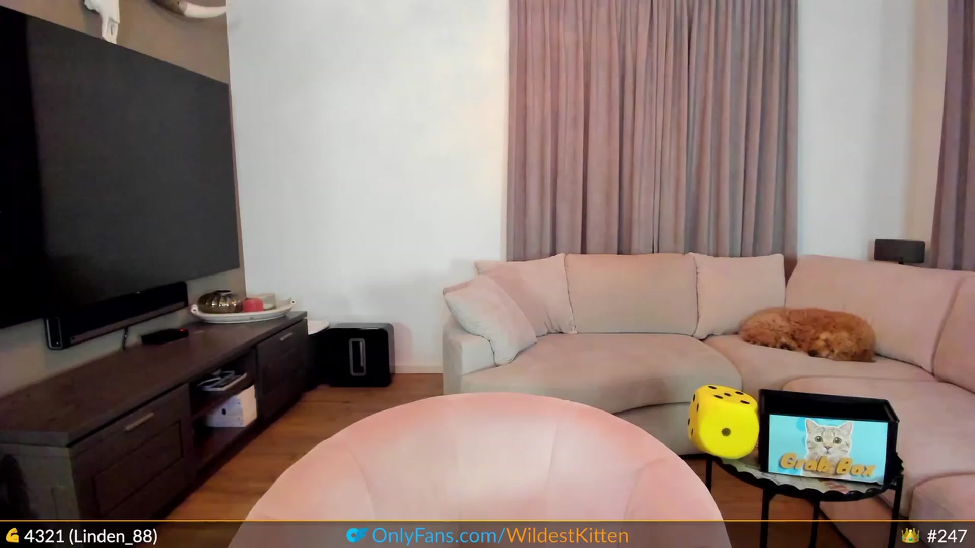 Gallery image thumbnail from WildestKitten's myfreecams stream on, 05/07/2023, 24:06 image 18 of 20