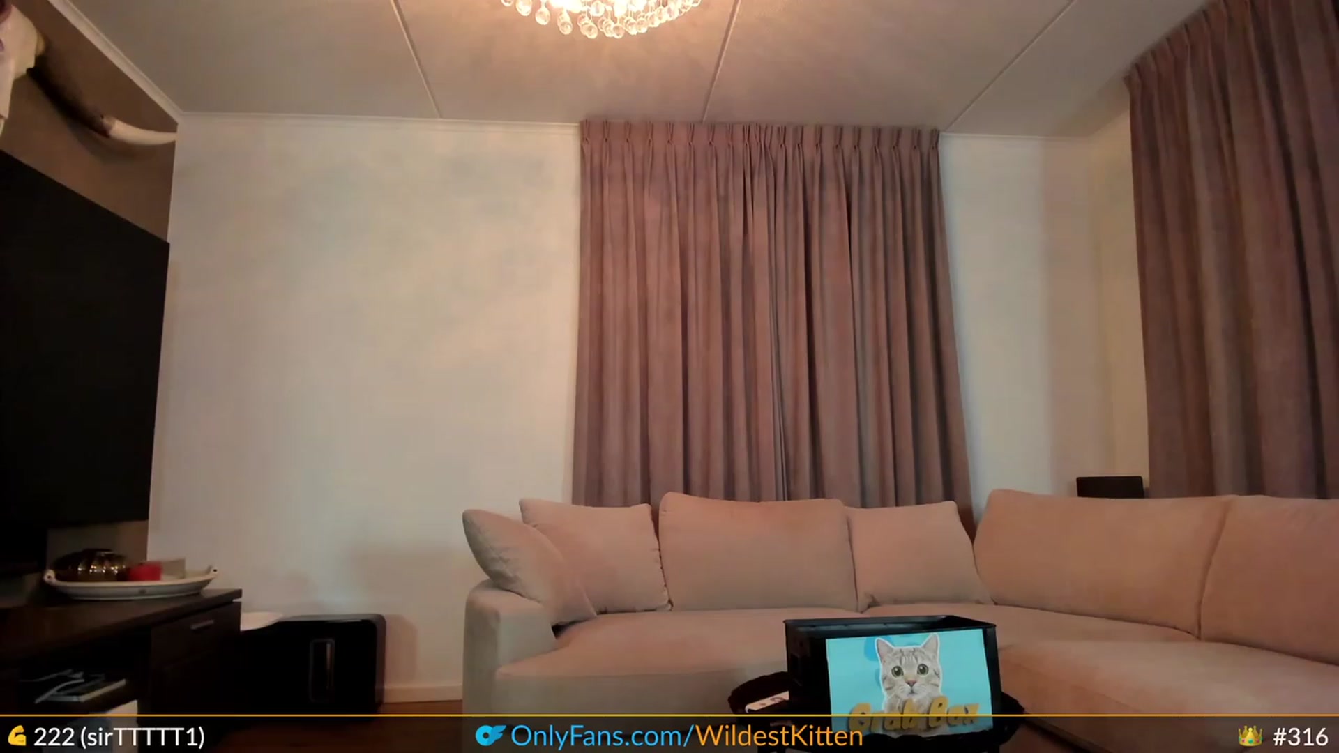 Gallery image thumbnail from WildestKitten's myfreecams stream on, 05/20/2023, 23:09 image 16 of 20