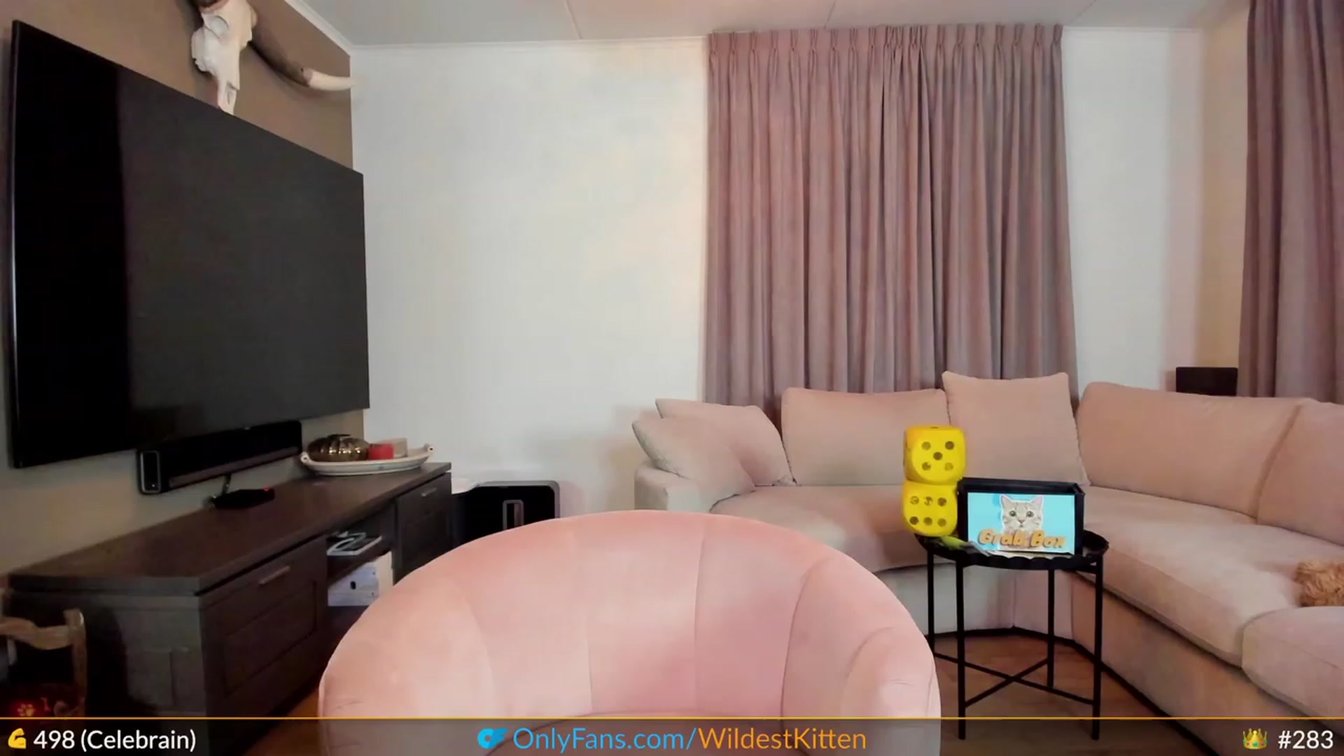 Gallery image thumbnail from WildestKitten's myfreecams stream on, 05/25/2023, 23:06 image 14 of 20