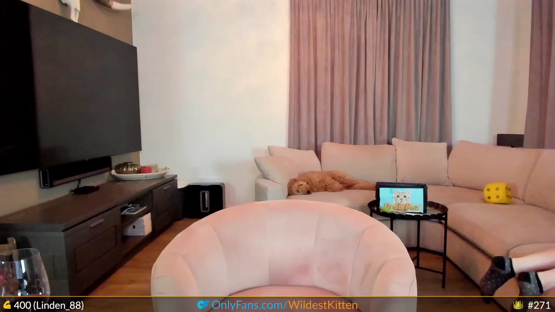 Gallery image thumbnail from WildestKitten's myfreecams stream on, 05/26/2023, 23:21 image 14 of 20