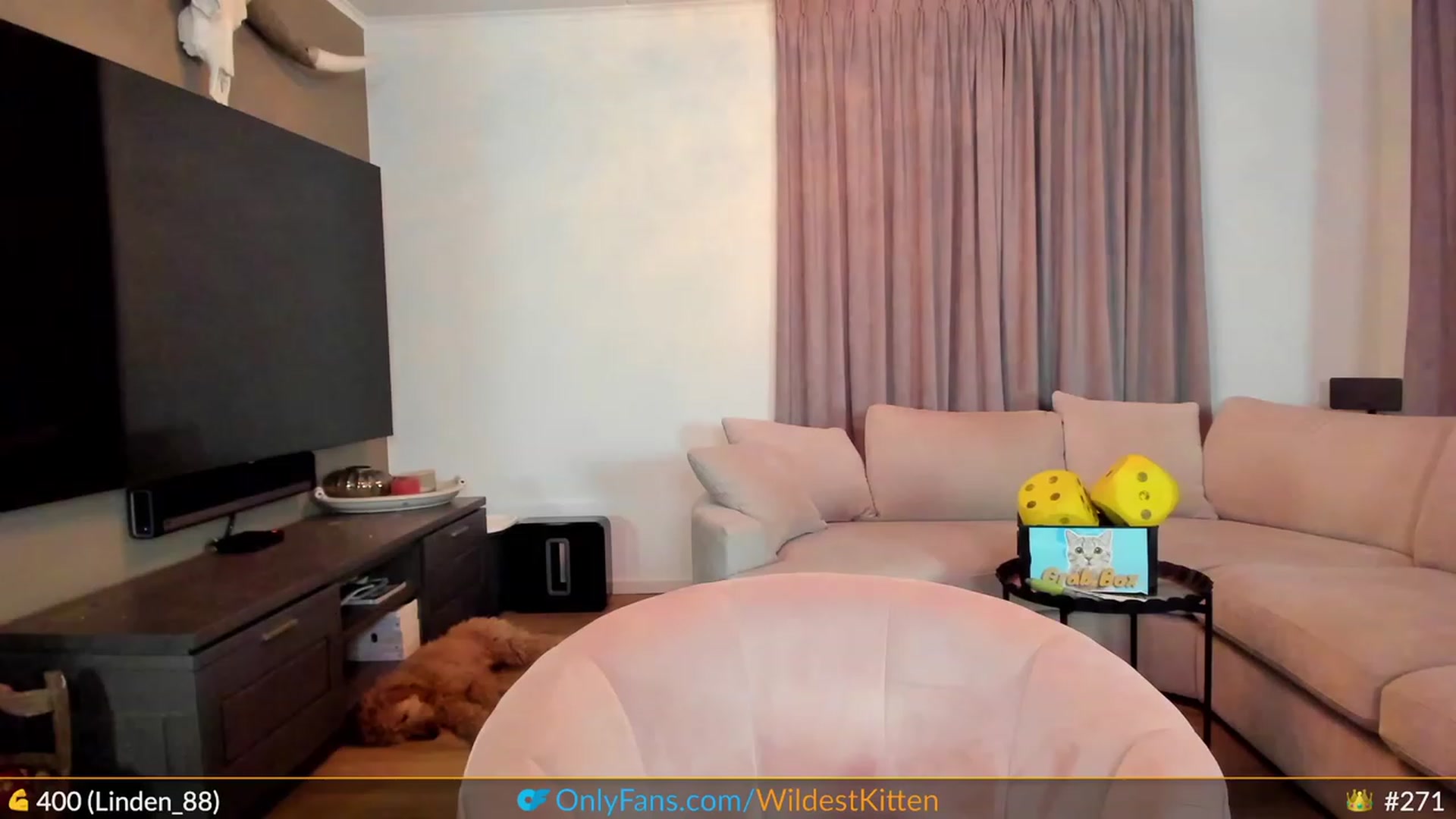 Gallery image thumbnail from WildestKitten's myfreecams stream on, 05/26/2023, 23:21 image 5 of 20