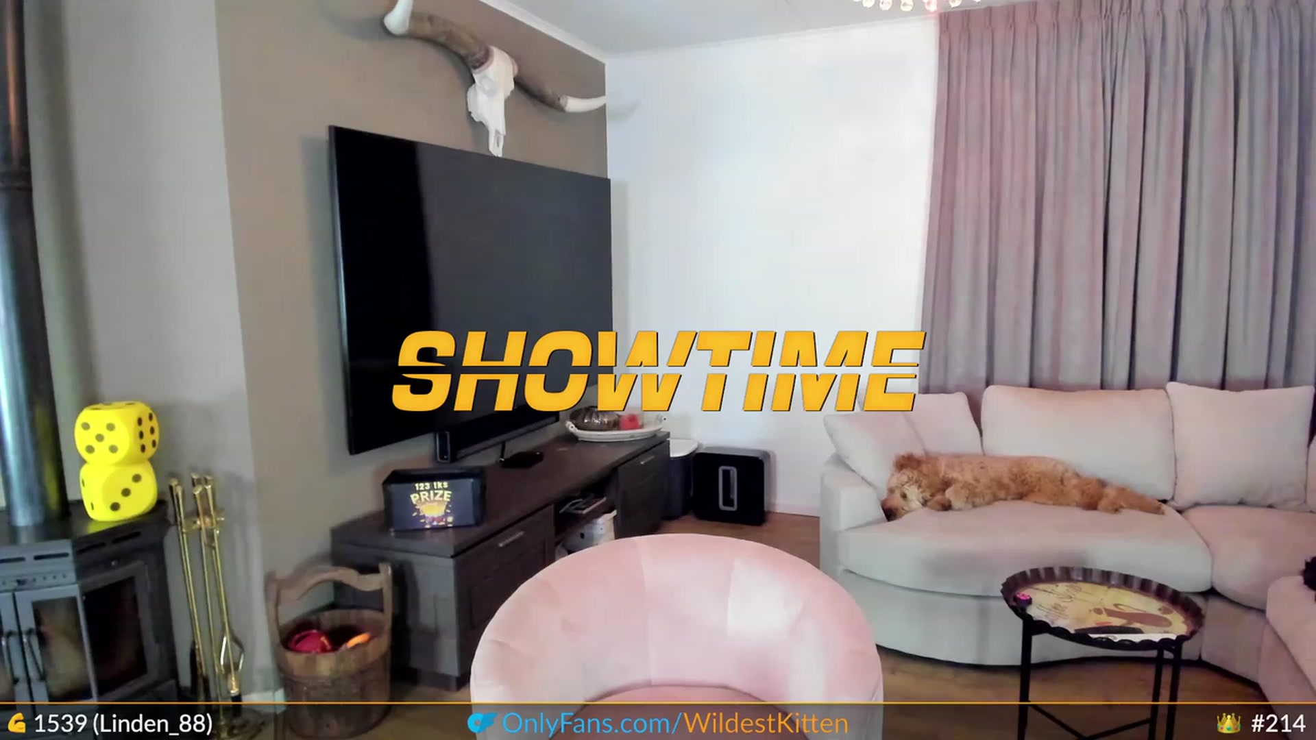 Gallery image thumbnail from WildestKitten's myfreecams stream on, 07/09/2023, 22:46 image 10 of 20