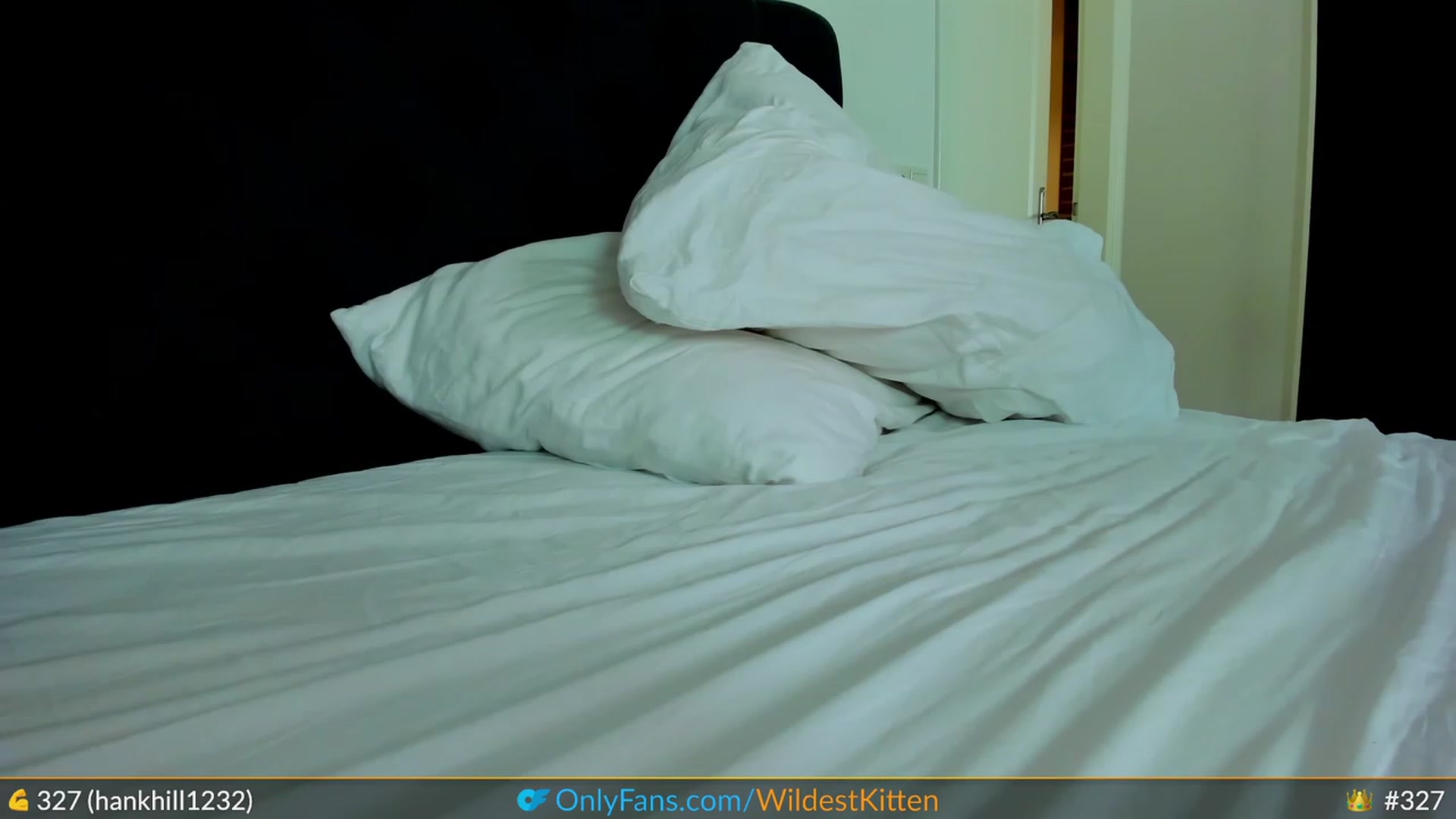 Gallery image thumbnail from WildestKitten's myfreecams stream on, 07/18/2023, 22:31 image 19 of 20