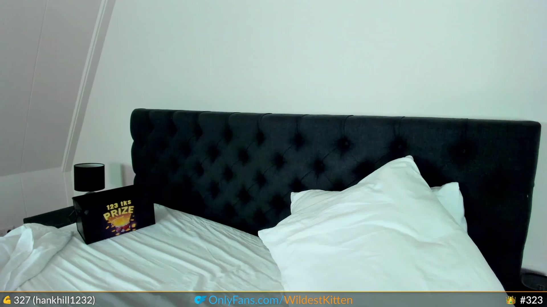 Gallery image thumbnail from WildestKitten's myfreecams stream on, 07/18/2023, 22:44 image 1 of 20