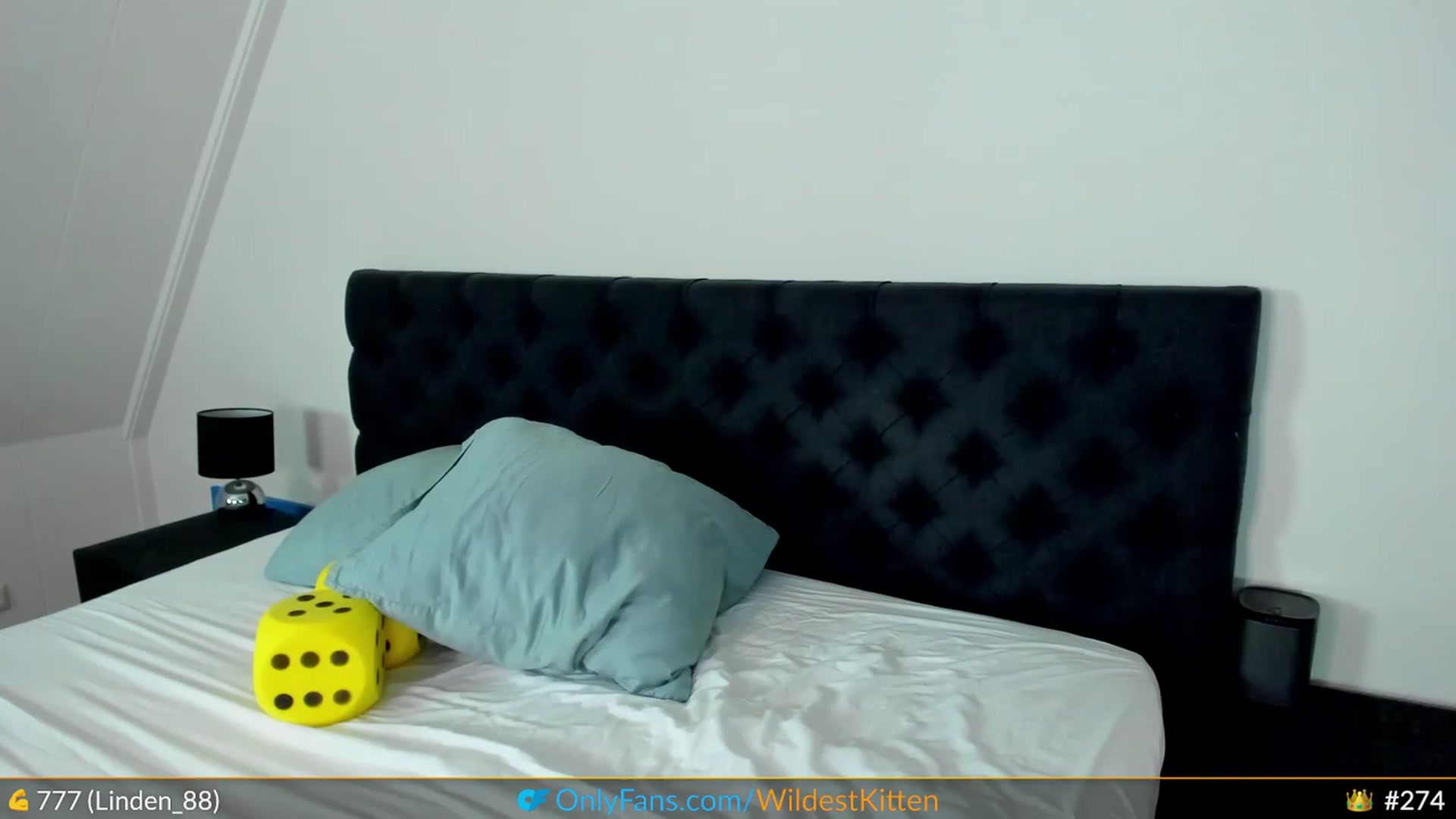 Gallery image thumbnail from WildestKitten's myfreecams stream on, 07/26/2023, 23:05 image 16 of 20