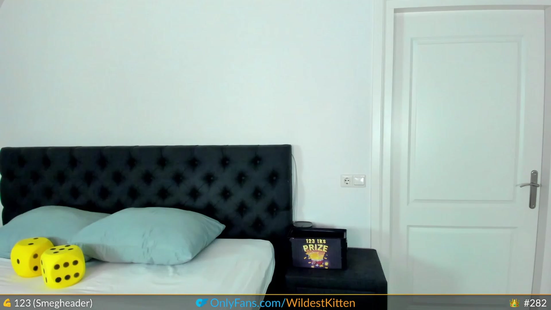 Gallery image thumbnail from WildestKitten's myfreecams stream on, 07/26/2023, 23:05 image 4 of 20