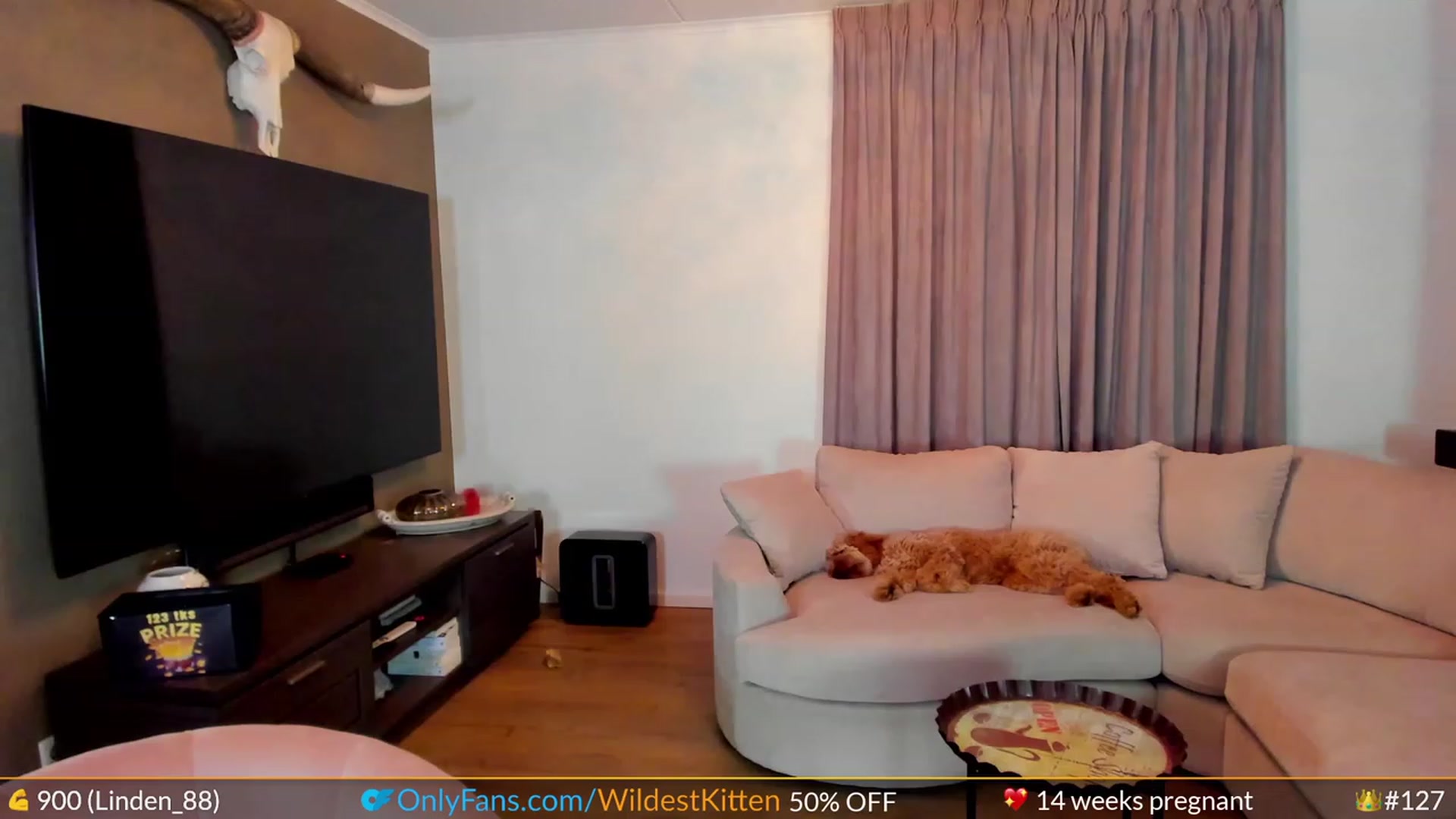 Gallery image thumbnail from WildestKitten's myfreecams stream on, 08/19/2023, 22:30 image 13 of 20