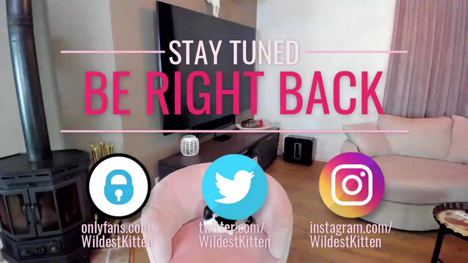 Gallery image thumbnail from WildestKitten's myfreecams stream on, 08/22/2023, 22:24 image 3 of 20