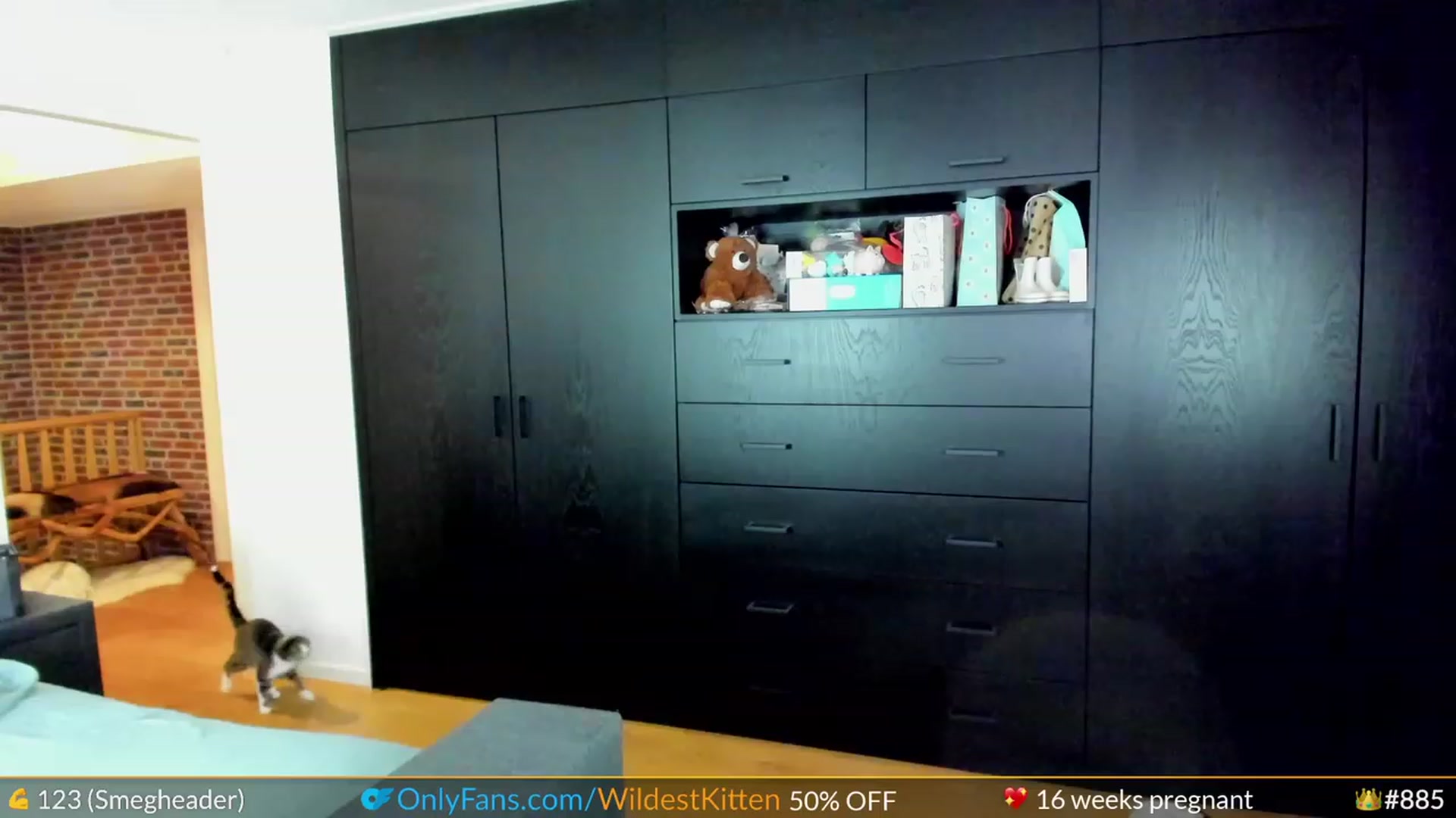 Gallery image thumbnail from WildestKitten's myfreecams stream on, 09/07/2023, 23:02 image 13 of 20