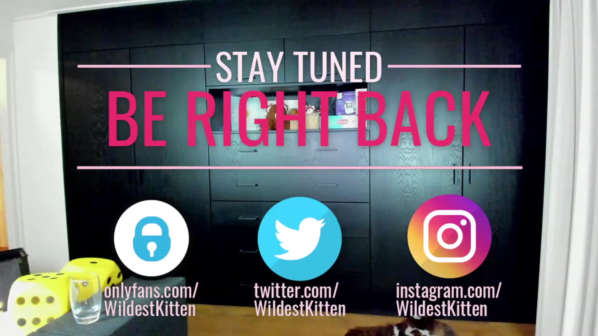 Gallery image thumbnail from WildestKitten's myfreecams stream on, 09/14/2023, 21:58 image 13 of 20