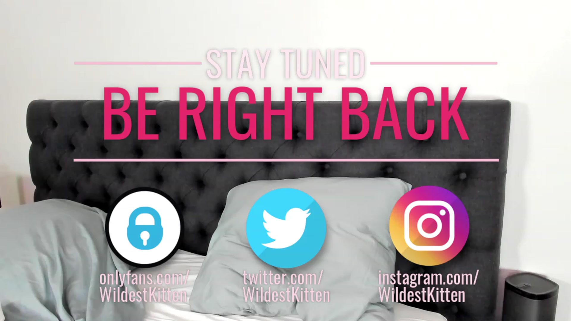Gallery image thumbnail from WildestKitten's myfreecams stream on, 09/22/2023, 21:25 image 18 of 20