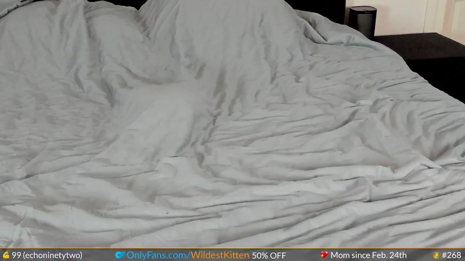 Gallery image thumbnail from WildestKitten's myfreecams stream on, 04/26/2024, 22:47 image 6 of 20