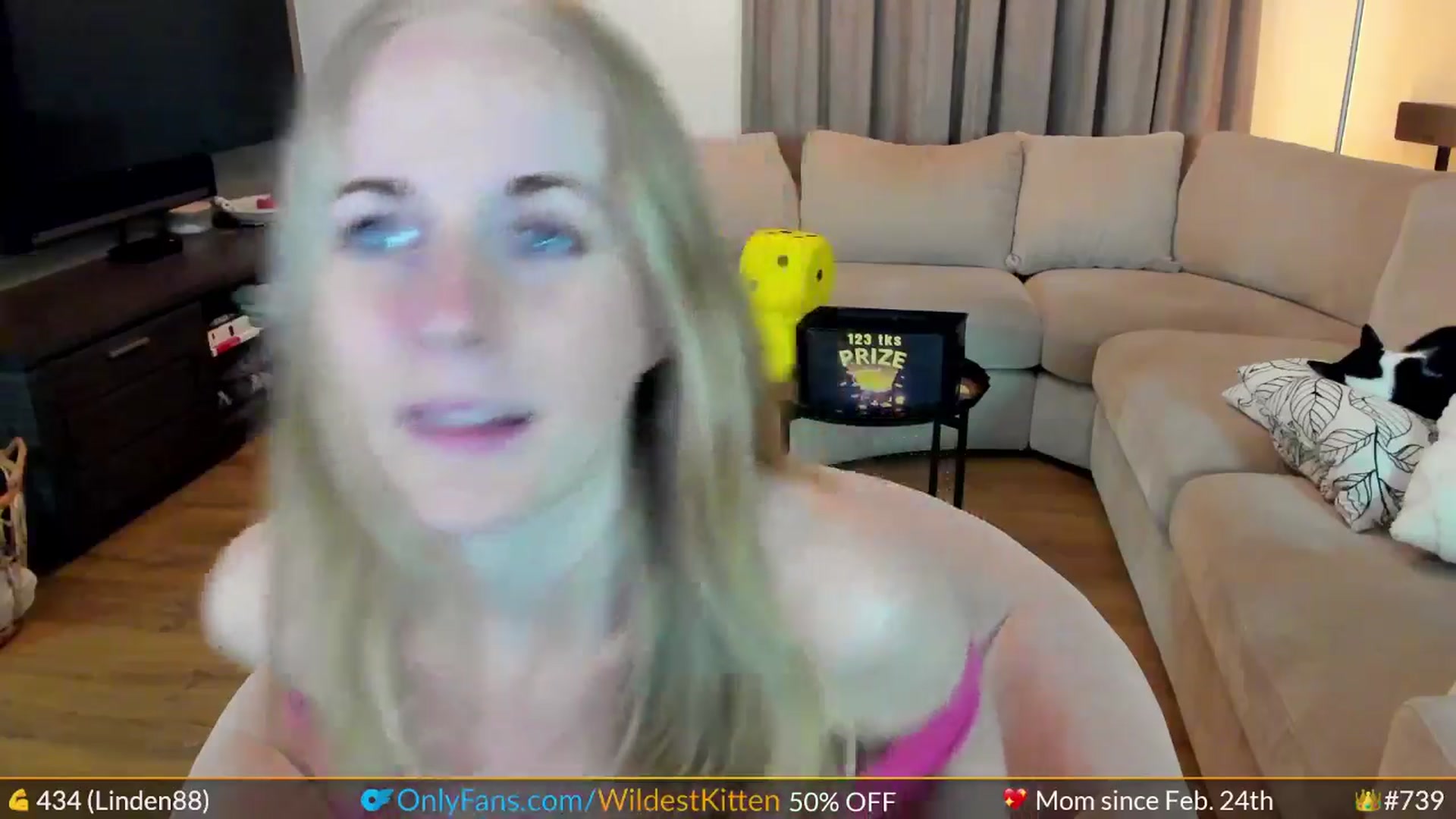 Gallery image thumbnail from WildestKitten's myfreecams stream on, 05/24/2024, 21:53 image 8 of 20