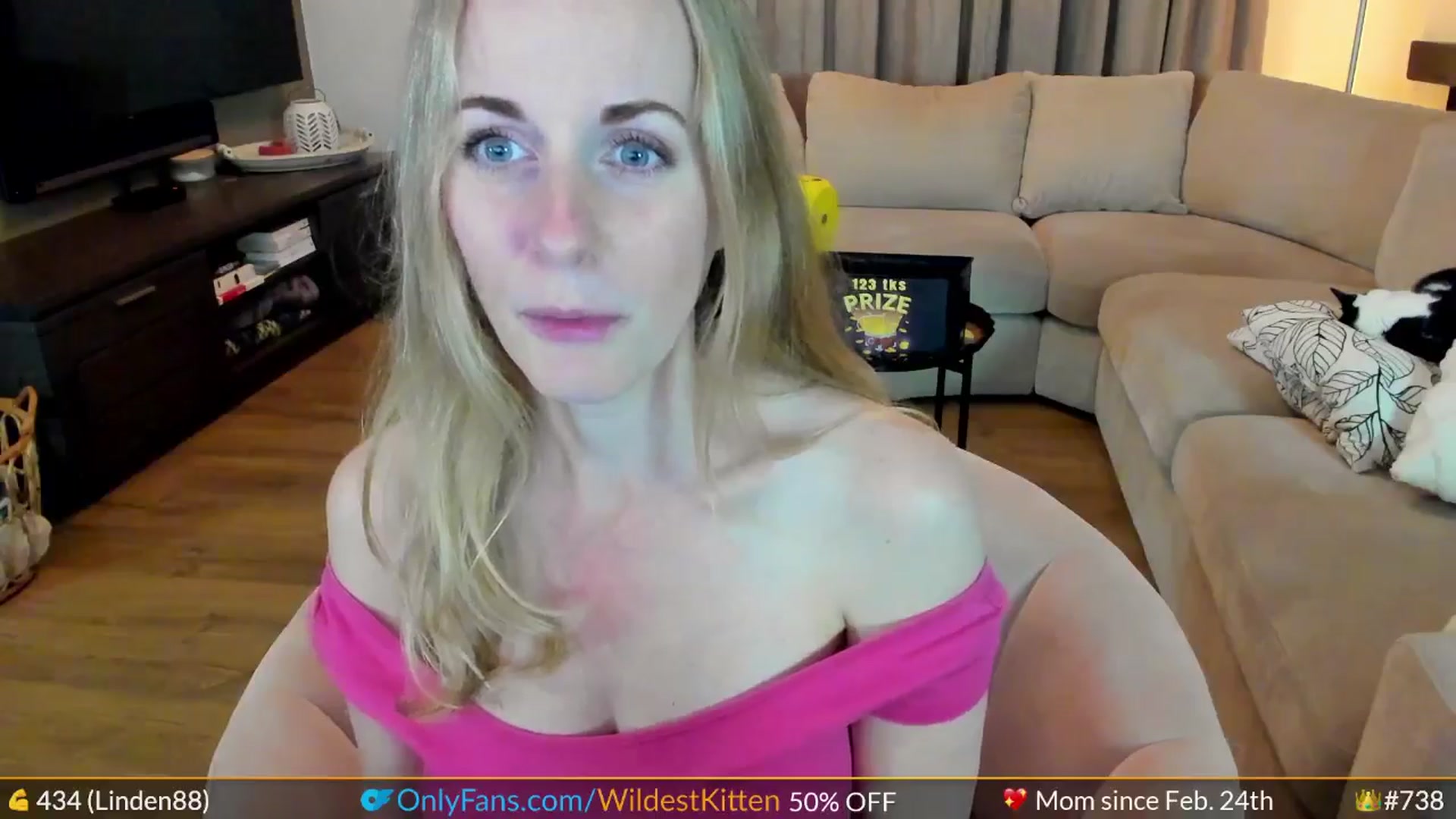 Gallery image thumbnail from WildestKitten's myfreecams stream on, 05/24/2024, 21:53 image 13 of 20