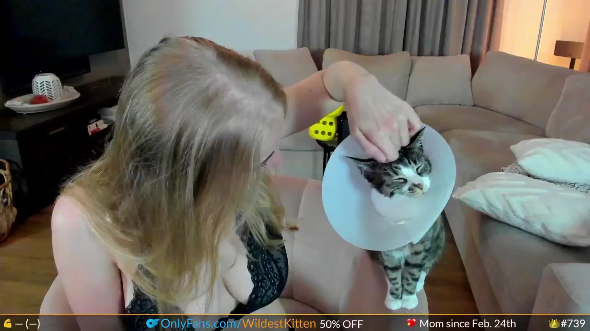 Gallery image thumbnail from WildestKitten's myfreecams stream on, 05/27/2024, 23:00 image 1 of 20