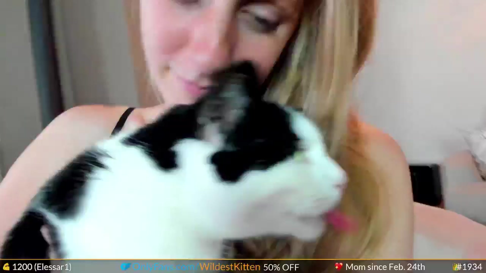 Gallery image thumbnail from WildestKitten's myfreecams stream on, 07/28/2024, 22:44 image 18 of 20