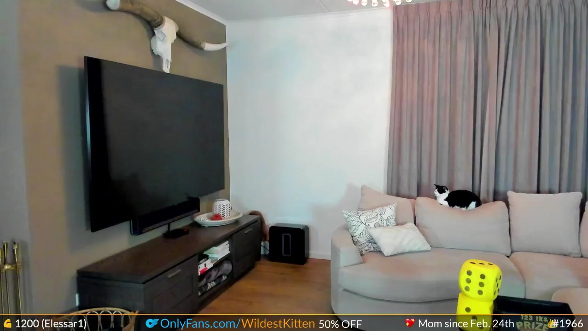 Gallery image thumbnail from WildestKitten's myfreecams stream on, 07/28/2024, 22:44 image 13 of 20
