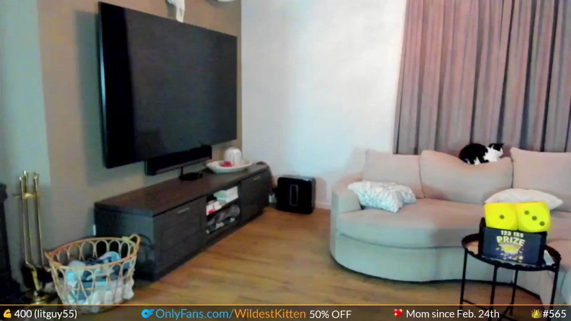 Gallery image thumbnail from WildestKitten's myfreecams stream on, 08/16/2024, 22:37 image 5 of 20