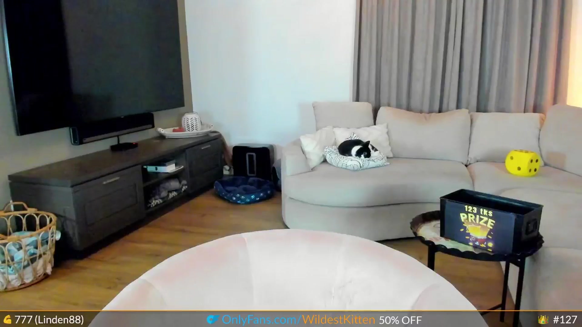 Gallery image thumbnail from WildestKitten's myfreecams stream on, 10/08/2024, 01:42 image 12 of 20