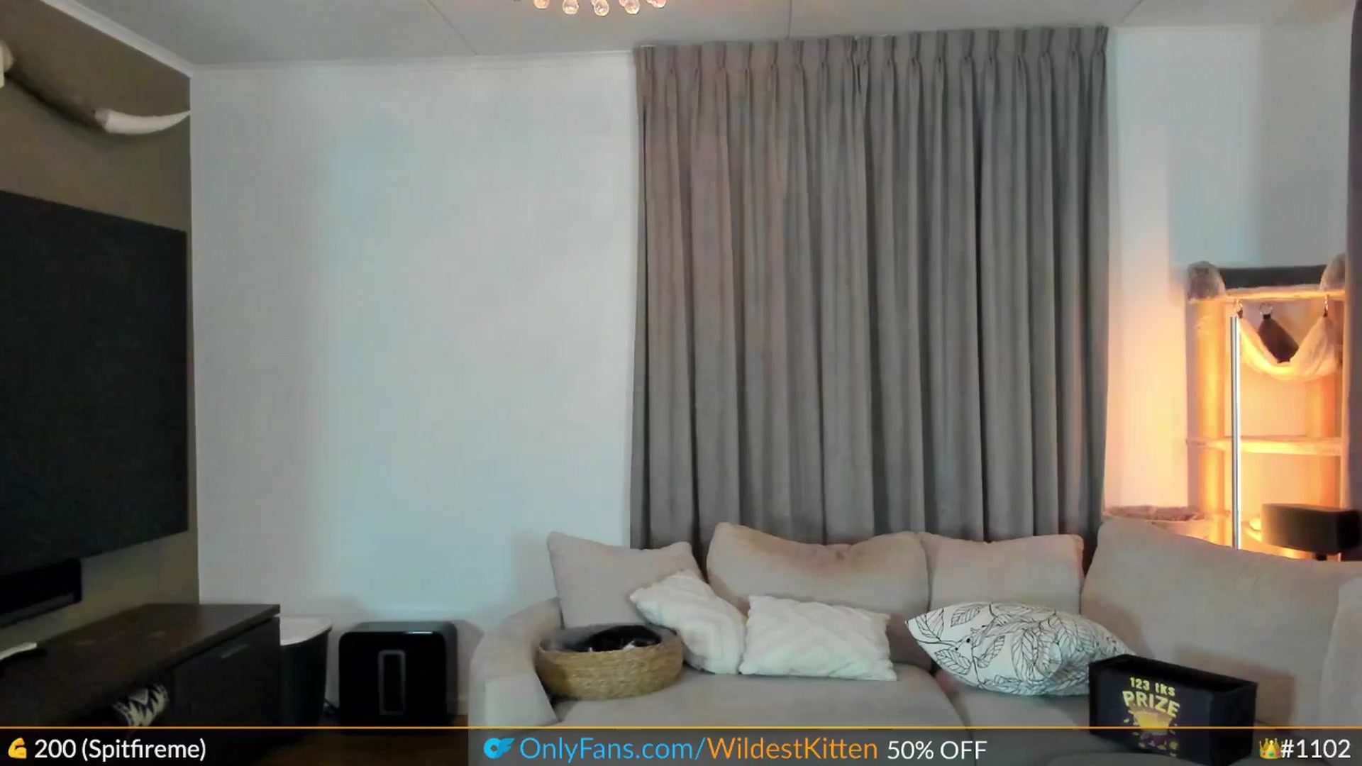 Gallery image thumbnail from WildestKitten's myfreecams stream on, 03/14/2025, 22:25 image 15 of 20