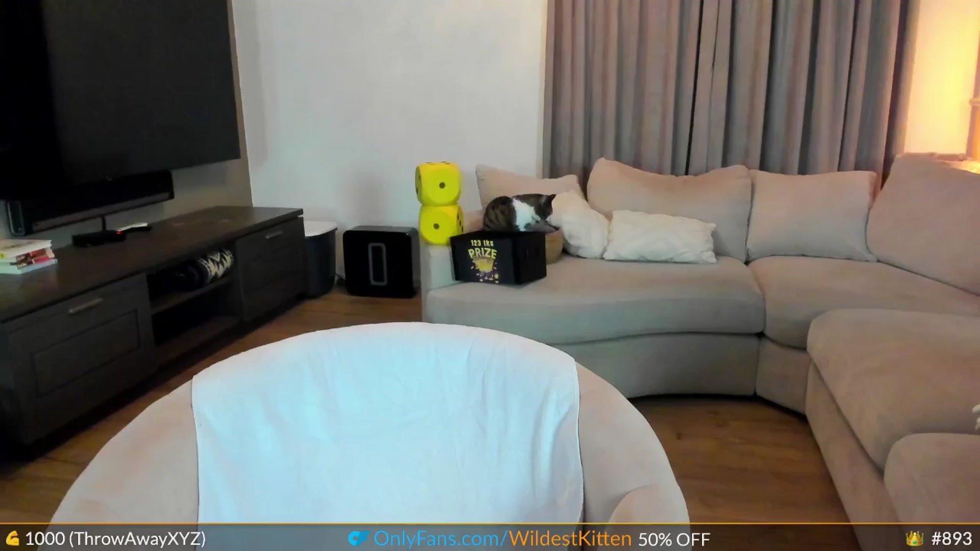 Gallery image thumbnail from WildestKitten's myfreecams stream on, 03/15/2025, 23:41 image 18 of 20