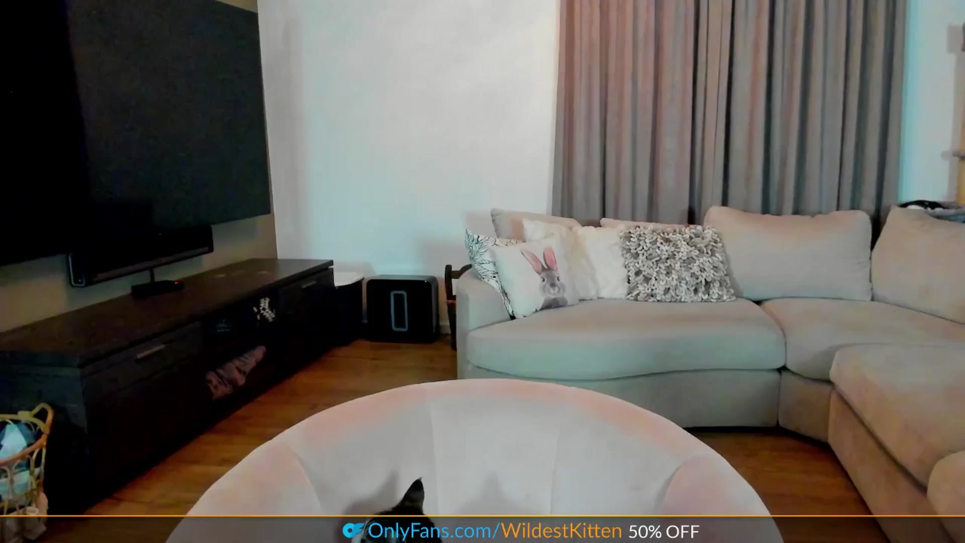 Gallery image thumbnail from WildestKitten's myfreecams stream on, 04/17/2025, 21:48 image 2 of 20