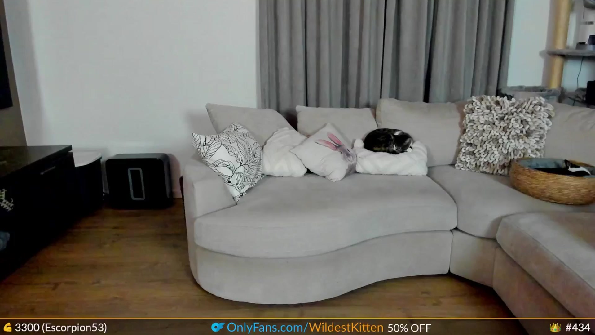Gallery image thumbnail from WildestKitten's myfreecams stream on, 04/20/2025, 21:54 image 17 of 20