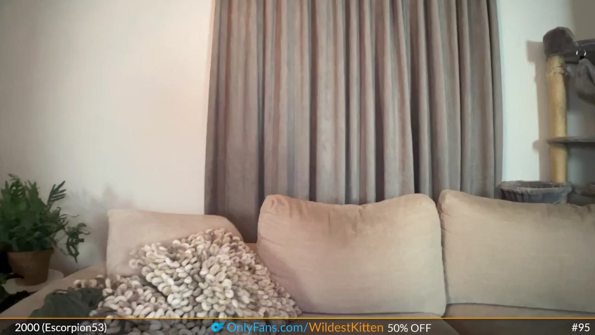 Gallery image thumbnail from WildestKitten's myfreecams stream on, 09/09/2025, 23:52 image 17 of 20