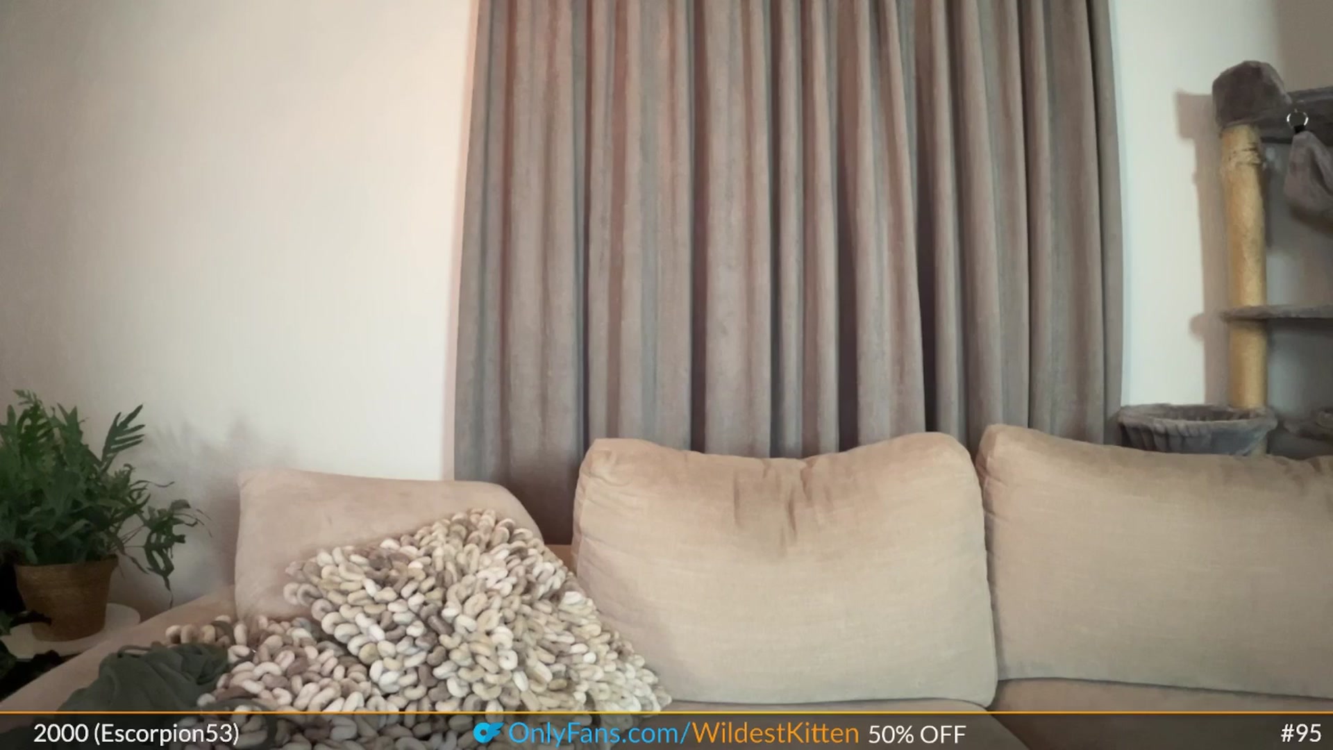 Gallery image thumbnail from WildestKitten's myfreecams stream on, 09/09/2025, 23:52 image 3 of 20