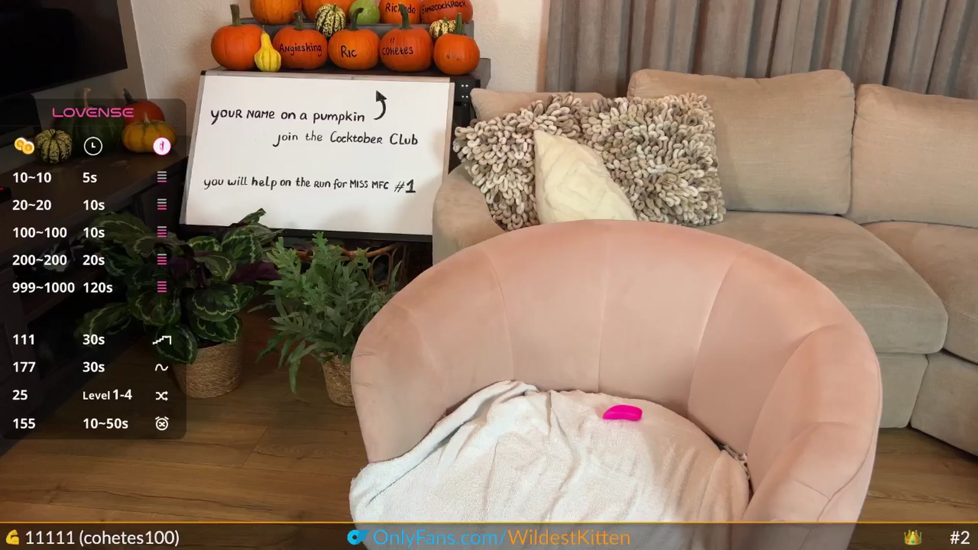 Gallery image thumbnail from WildestKitten's myfreecams stream on, 10/12/2025, 21:40 image 17 of 20