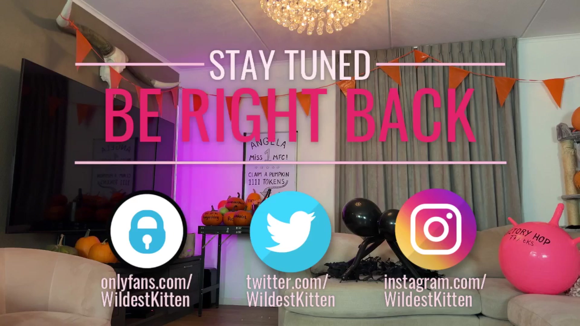 Gallery image thumbnail from WildestKitten's myfreecams stream on, 11/01/2025, 02:19 image 16 of 20