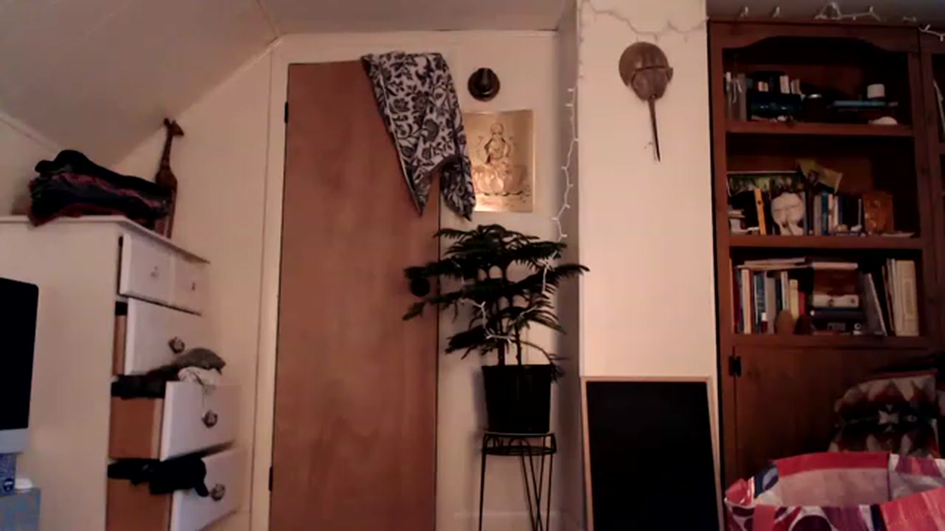Gallery image thumbnail from WildflowerEm's myfreecams stream on, 01/08/2023, 22:52 image 8 of 20