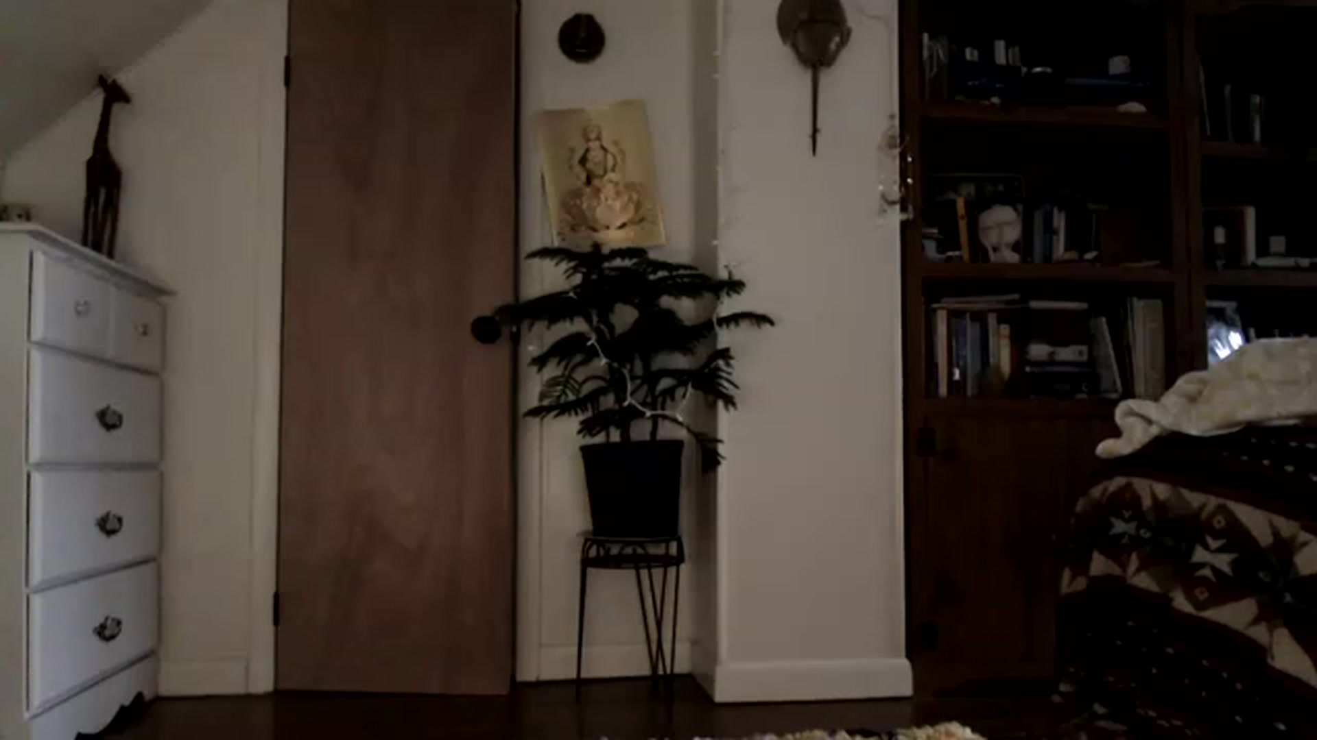Gallery image thumbnail from WildflowerEm's myfreecams stream on, 02/04/2023, 22:38 image 10 of 20