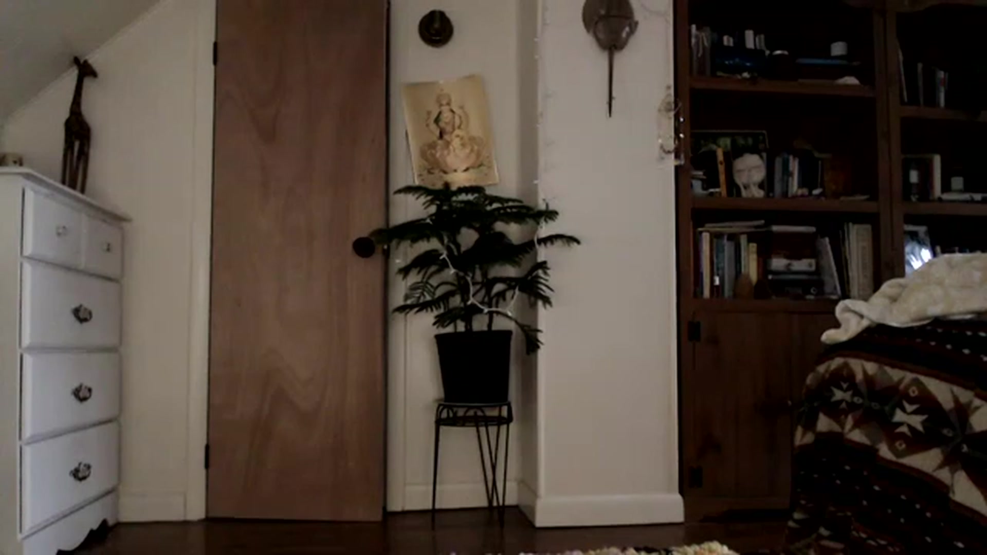 Gallery image thumbnail from WildflowerEm's myfreecams stream on, 02/04/2023, 22:38 image 9 of 20