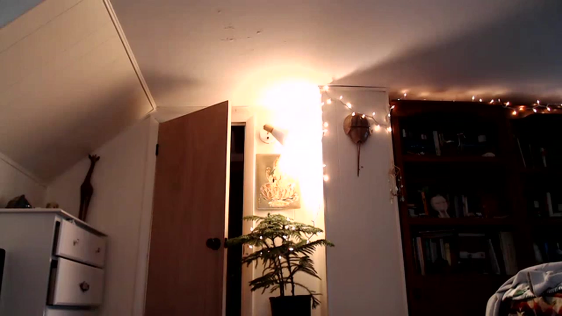 Gallery image thumbnail from WildflowerEm's myfreecams stream on, 03/11/2023, 22:58 image 3 of 20