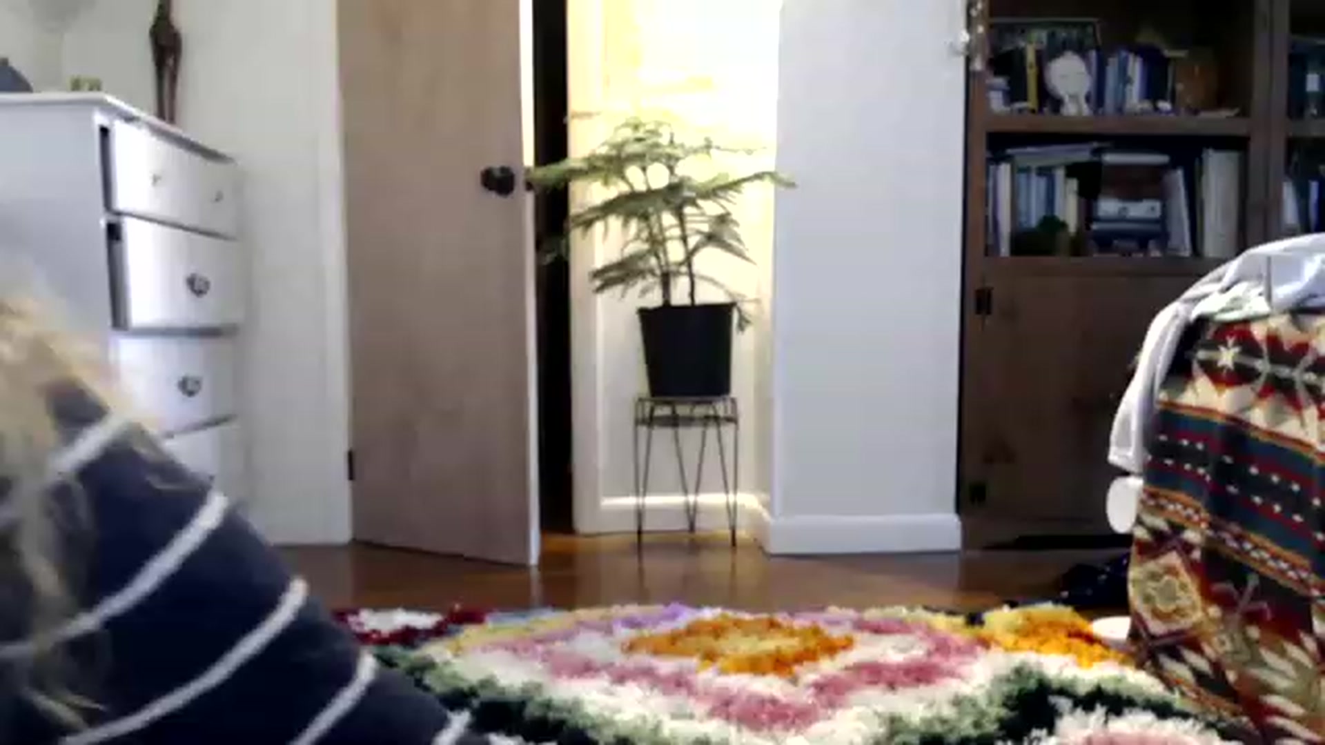 Gallery image thumbnail from WildflowerEm's myfreecams stream on, 03/11/2023, 22:58 image 1 of 20