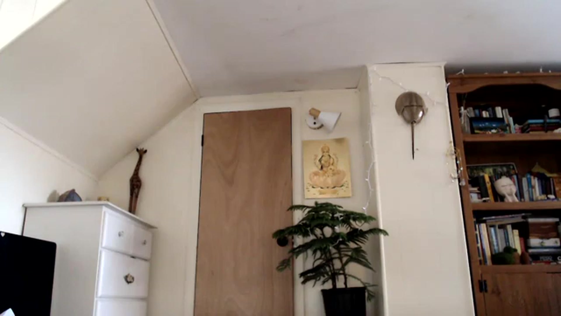 Gallery image thumbnail from WildflowerEm's myfreecams stream on, 03/19/2023, 21:34 image 4 of 20