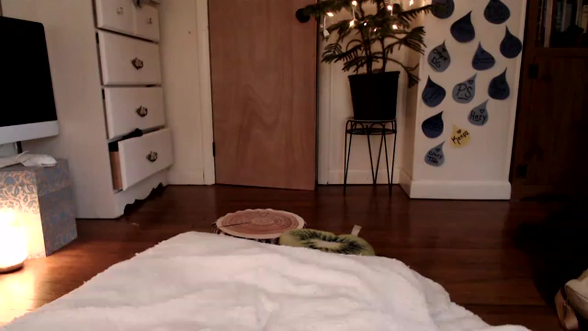Gallery image thumbnail from WildflowerEm's myfreecams stream on, 04/22/2023, 22:24 image 18 of 20