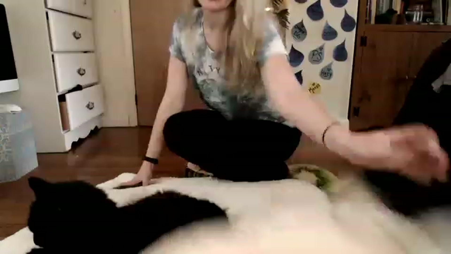 Gallery image thumbnail from WildflowerEm's myfreecams stream on, 04/22/2023, 22:24 image 8 of 20
