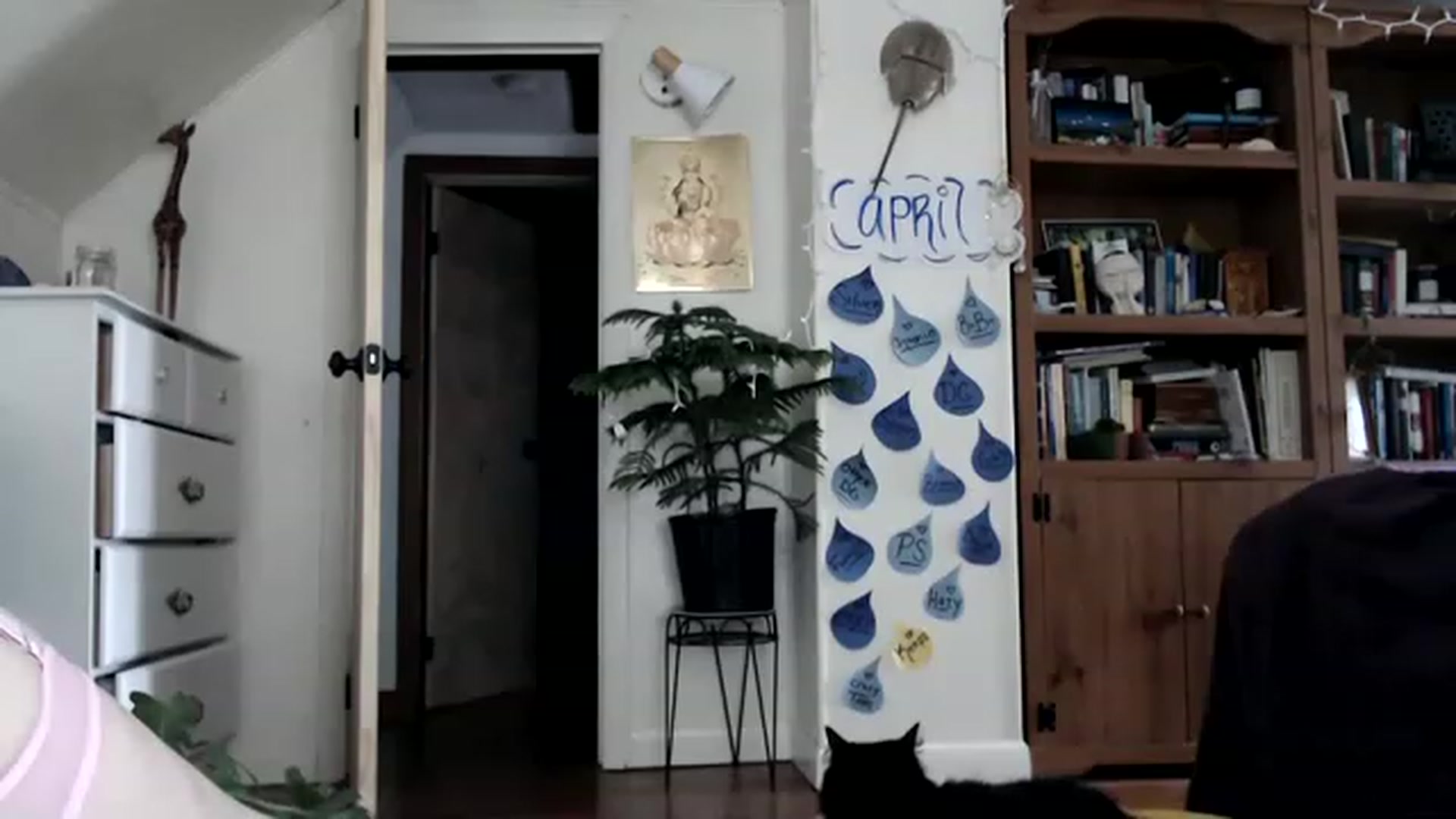 Gallery image thumbnail from WildflowerEm's myfreecams stream on, 04/29/2023, 19:25 image 4 of 20