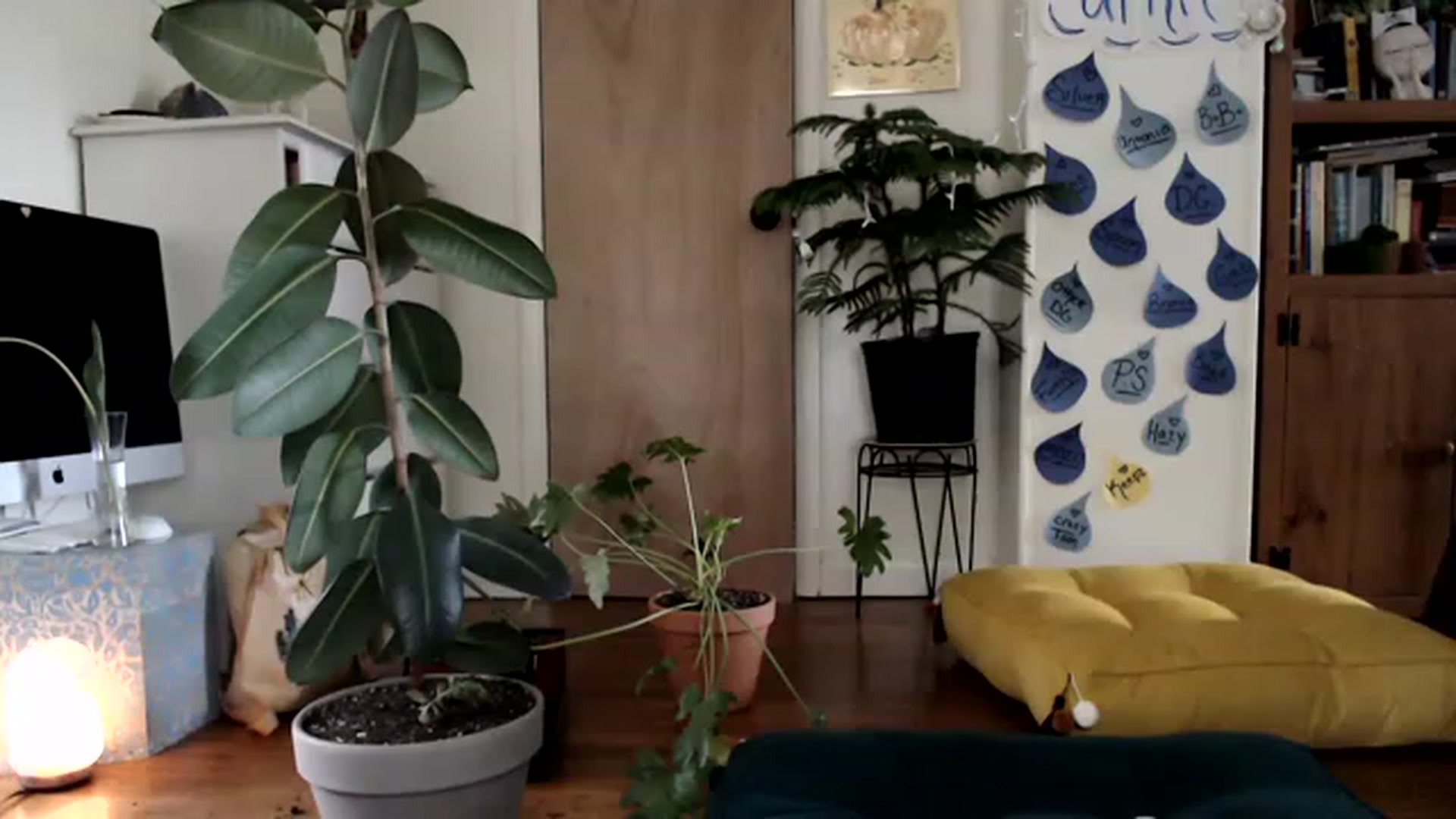 Gallery image thumbnail from WildflowerEm's myfreecams stream on, 04/29/2023, 20:43 image 10 of 20