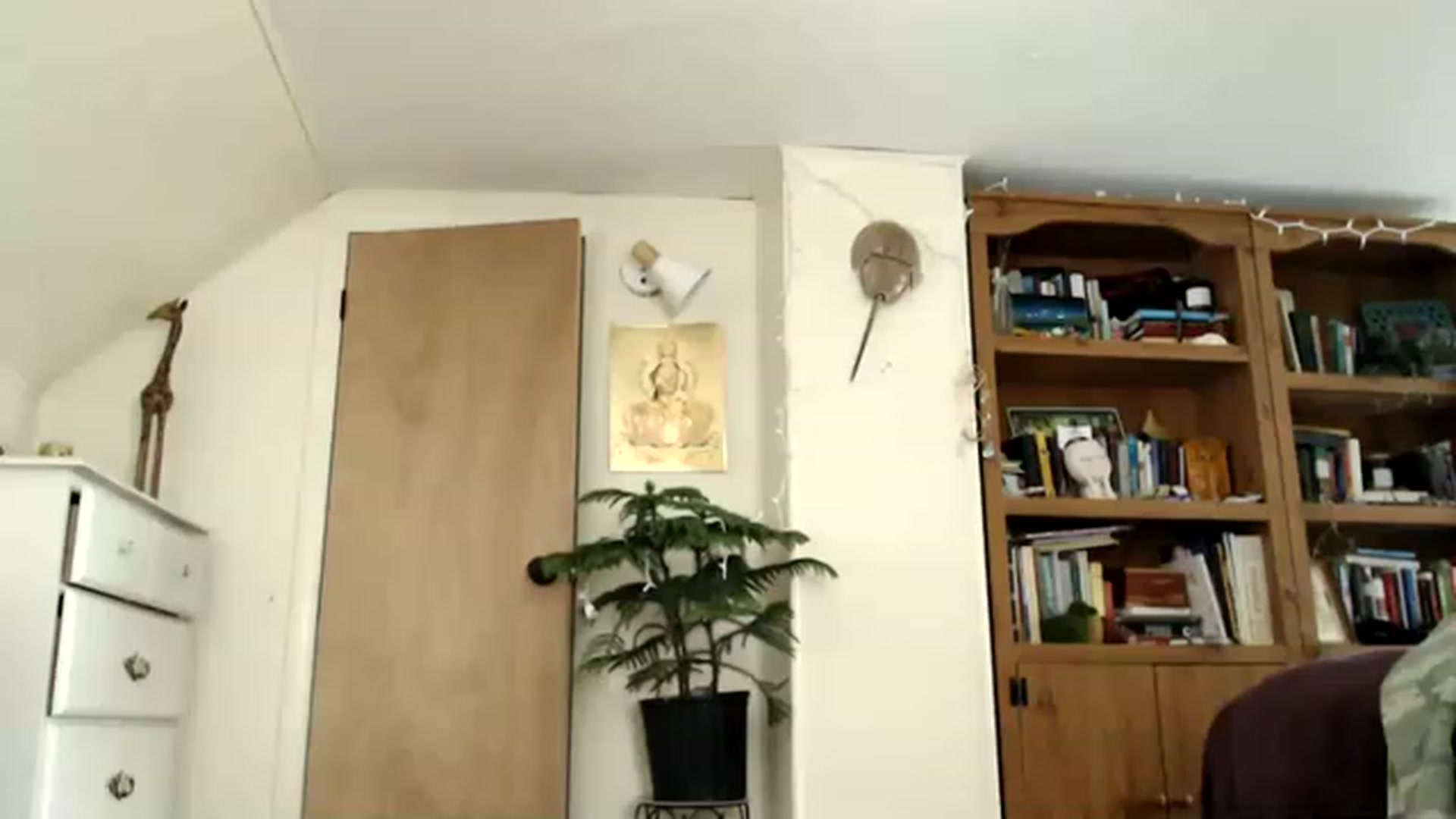 Gallery image thumbnail from WildflowerEm's myfreecams stream on, 05/13/2023, 21:18 image 15 of 20