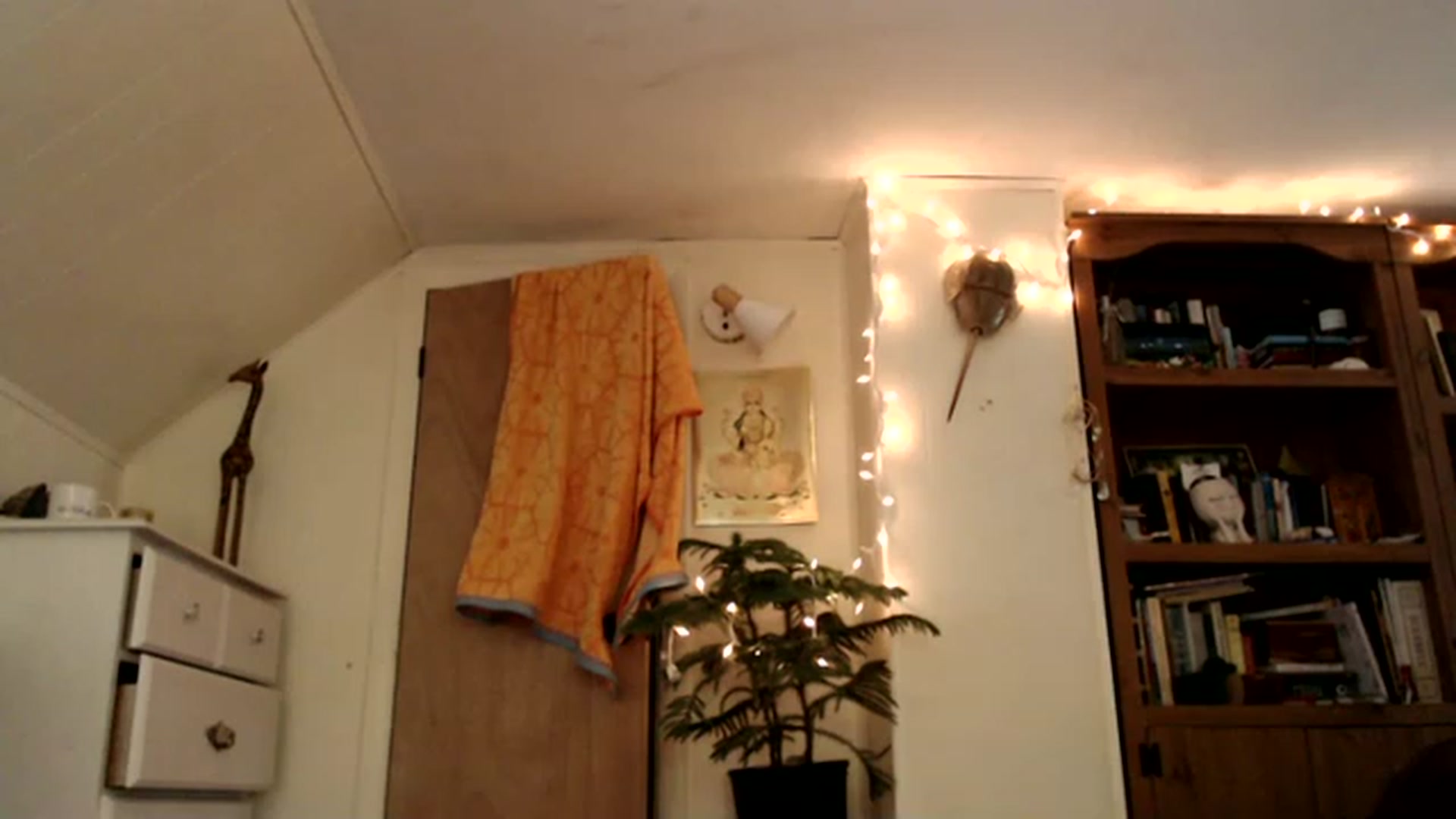 Gallery image thumbnail from WildflowerEm's myfreecams stream on, 05/20/2023, 21:11 image 4 of 20