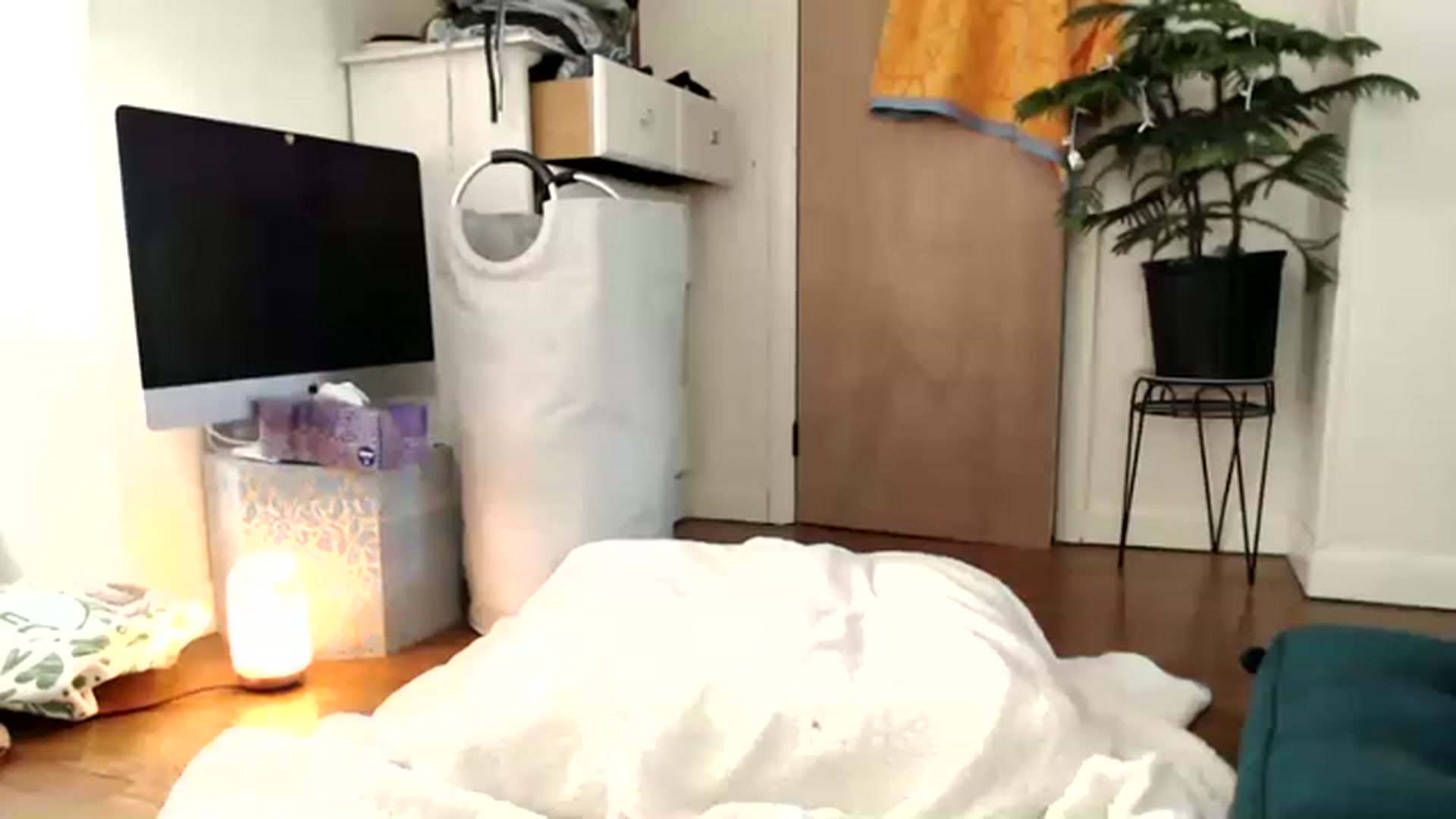 Gallery image thumbnail from WildflowerEm's myfreecams stream on, 05/21/2023, 20:42 image 14 of 20