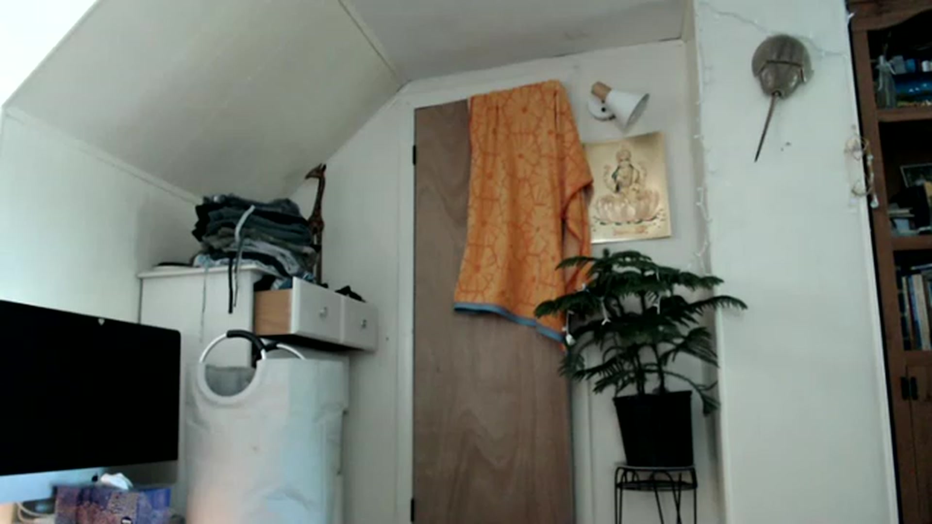 Gallery image thumbnail from WildflowerEm's myfreecams stream on, 05/21/2023, 21:40 image 4 of 20