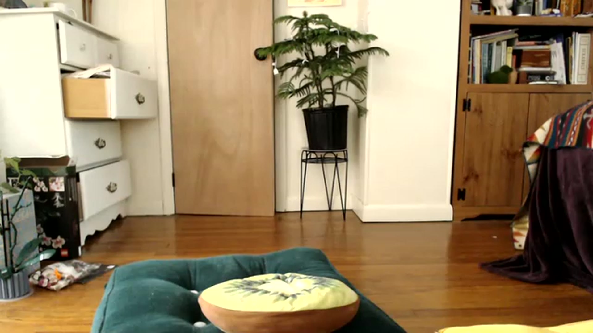 Gallery image thumbnail from WildflowerEm's myfreecams stream on, 06/11/2023, 21:26 image 11 of 20