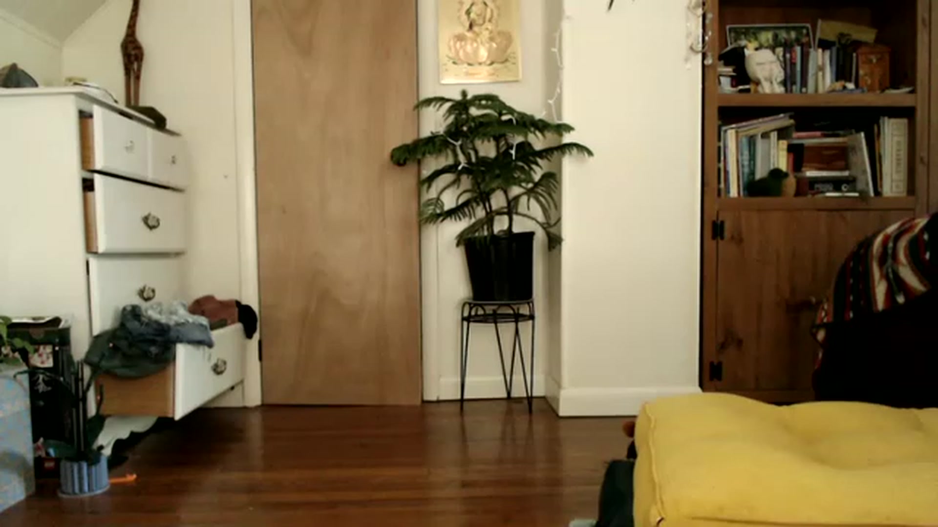 Gallery image thumbnail from WildflowerEm's myfreecams stream on, 06/29/2023, 19:16 image 15 of 20