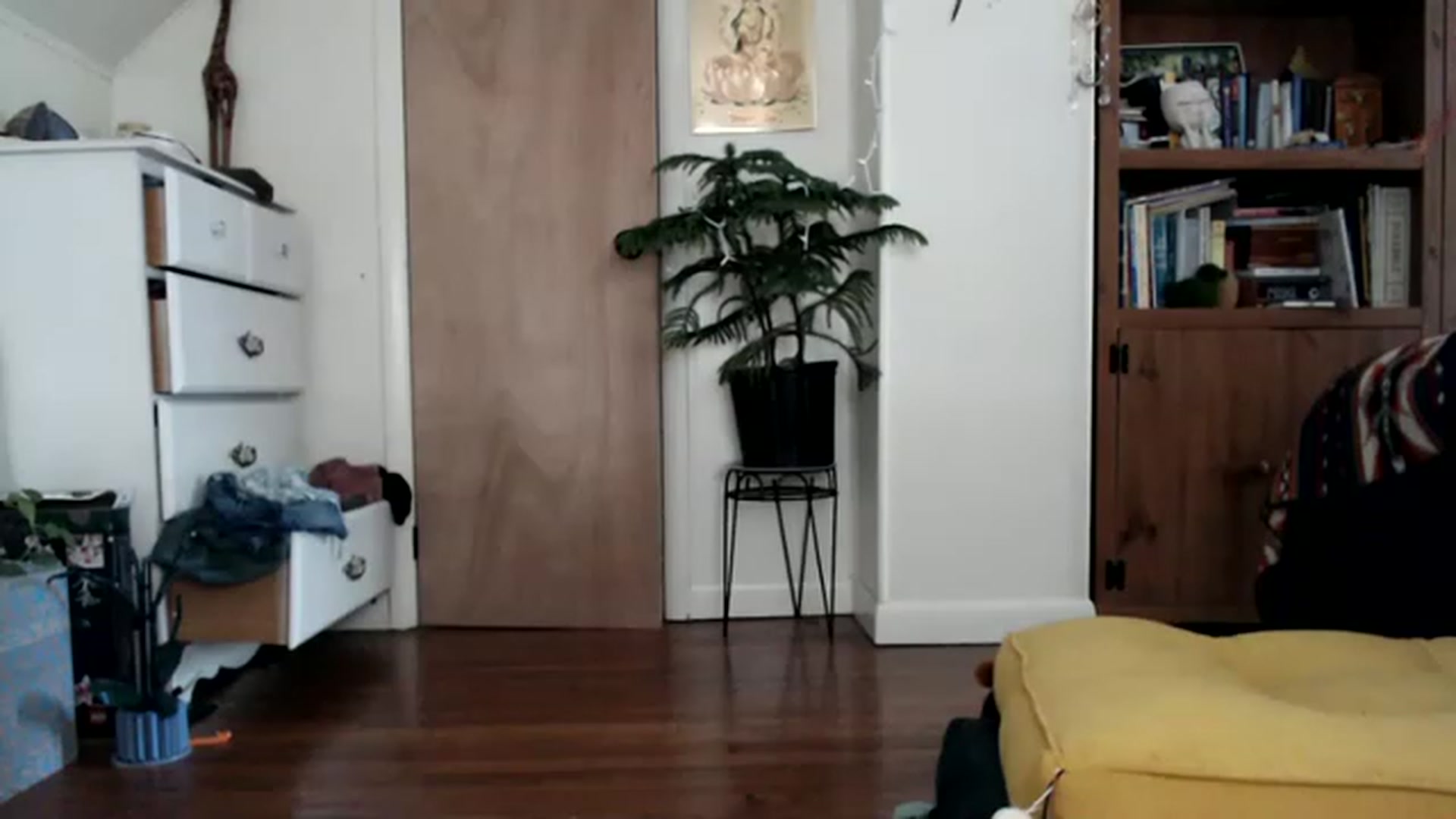 Gallery image thumbnail from WildflowerEm's myfreecams stream on, 06/29/2023, 19:16 image 6 of 20