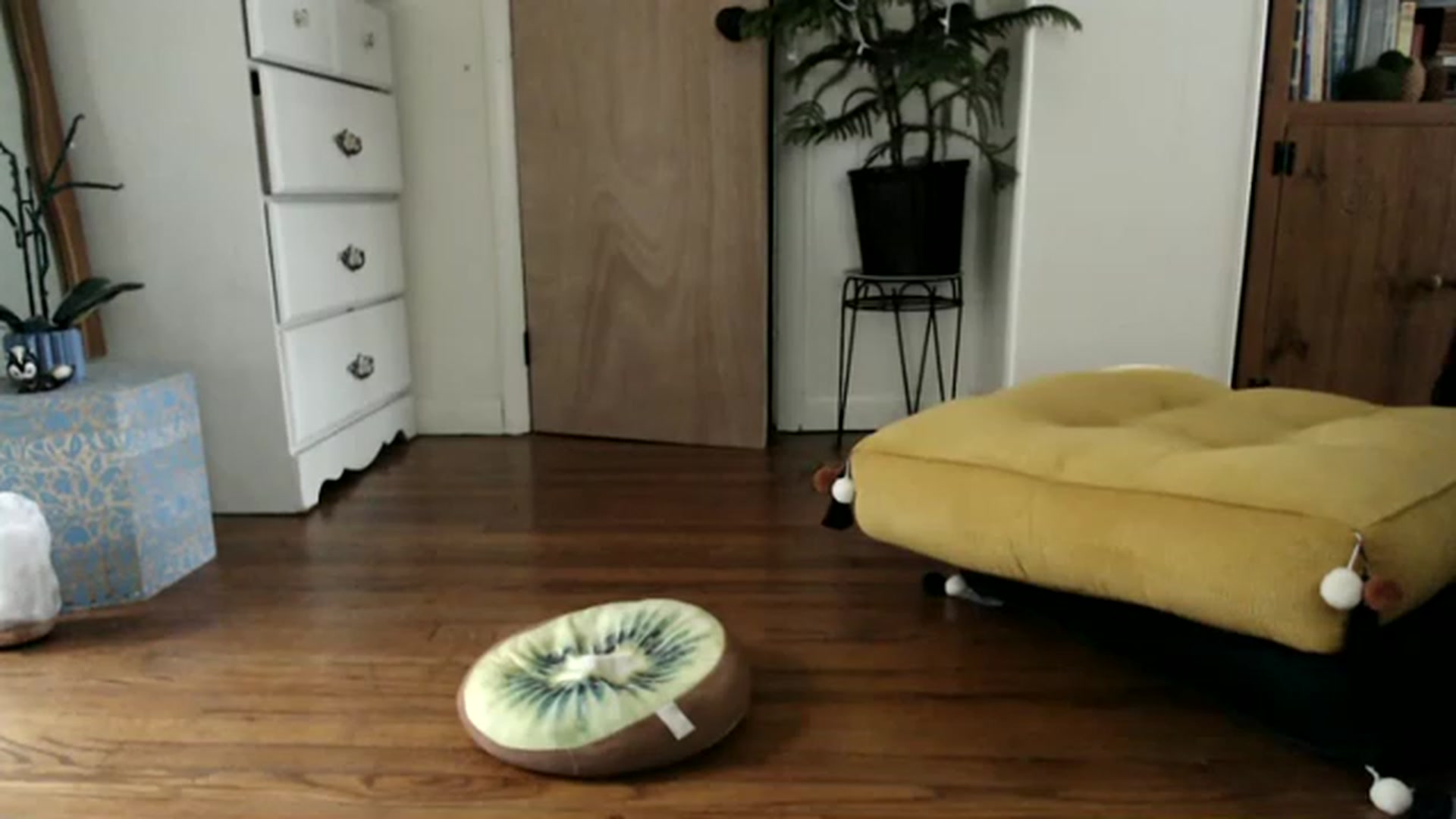Gallery image thumbnail from WildflowerEm's myfreecams stream on, 07/09/2023, 20:57 image 10 of 20