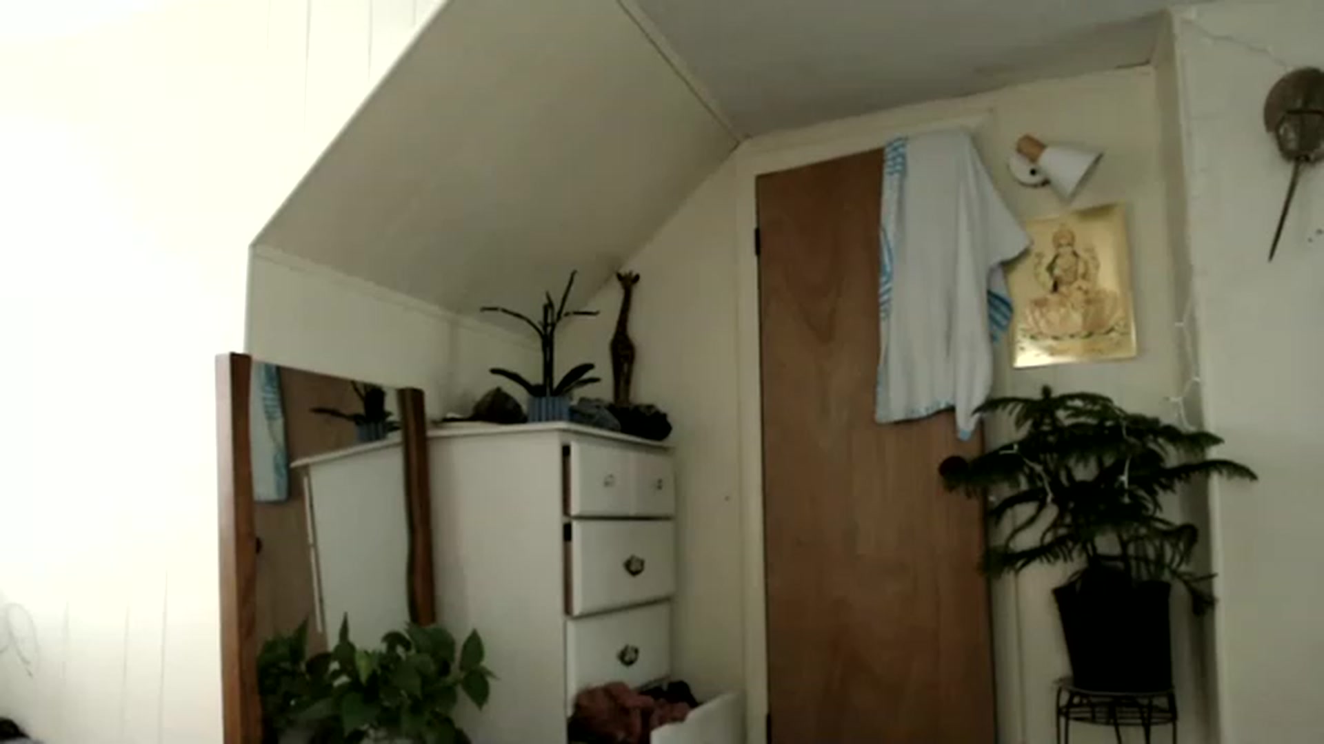 Gallery image thumbnail from WildflowerEm's myfreecams stream on, 07/21/2023, 21:47 image 8 of 20
